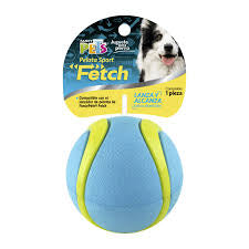 Pelota sport Fetch